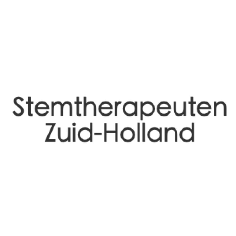 Logo stzh